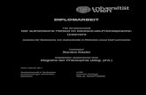 DIPLOMARBEIT - univie.ac.atothes.univie.ac.at/13525/1/2011-02-14_0504585.pdf · 2013. 2. 28. · 3.1 Der Hörtext – Gegenstand des Hörens ... Schritte International, Dimensionen