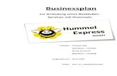Hummel Express BP fertig - uni-paderborn.degcc.upb.de/.../$FILE/Hummel_Express_BP_Final.pdf · 2013. 12. 20. · Ernteerträge, vor allem bei Privatpersonen und kleinen landwirtschaftlichen