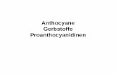 Anthocyane Gerbstoffe Proanthocyanidinen - Semmelweis ......Der Grundtyp ist das Pelargonidin, das in seinem 3,4′,5,7-Hydroxylierungsmuster dem Kämpferol in der Flavonolreihe entspricht.