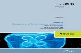 BIONIK - FFG · 2018. 10. 8. · Reinhard Mundl, Wien Entwicklung eines biomimetischen Beschleunigungssensor Univ.-Doz. Dr. Hubert Brückl, Austrian Research Centers GmbH - ARC, Wien