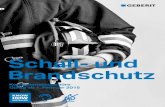Schall- und Br and schutz - Swiss-S Elementbau GmbH · 2016. 12. 26. · Schall bezeichnet den Klang und den Ton, wie er von Mensch und Tier akkustisch wahrgenommen wird. 1.1.2 Erzeugung