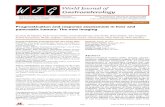 Prognostication and response assessment in liver and ......evaluation of hepato-bilio-pancreatic tumors. Literature data reveal that functional imaging techniques could be proposed