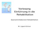 Vorlesung Einführung in die Rehabilitation in die... · 2016. 11. 14. · Prinzip der Multi- und Interdisziplinarität • Aus der Komplexität der gestörten Funktionen,, ... in