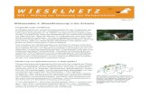 WIN Newsletter 4 20170206 D - Wieselnetzwieselnetz.ch/wp-content/uploads/2017/03/WIN_Newsletter_4_20170… · WINewsletter 4: Wieselförderung in der Schweiz Flugwaffe setzt auf Wiesel