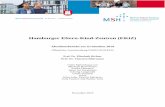 Hamburger Eltern-Kind-Zentren (EKiZ)Hamburger Eltern-Kind-Zentren (EKiZ) Abschlussbericht zur Evaluation 2019 Öffentliche Ausschreibung ÖA001/2019/FS33 Prof. Dr. Elisabeth Richter