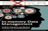 Information und Bildungsarbeit von und für die SAP - In ...6 E-3 Februar 2013 In-memory Data Management ist heute der BW-A und in Zukunft SAP Hana optimal. Erfahrungsgemäß ab einem