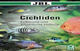 Cichlidenthommys-zooladen.de/inc/tinymce_files/Downloads/JBL...11 Die Fischstation von Stuart Grant († 2007) ist die traditi-onsreichste und größte am ganzen Malawisee. Von hier