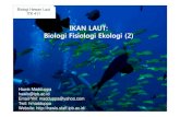 IKAN LAUT: BiologiFisiologiEkologi(2)hawis.staff.ipb.ac.id/files/2012/10/BHL2012_IKAN... · 2012. 11. 27. · Klasifikasi – Diadromous: ikan migrasi sejati yang bermigrasi antara