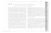 LandyGrahambook - Columbia Universitynvg1/normster_pdfs/2003LandyGraham.pdf · 2004. 7. 15. · LANDY AND GRAHAM.. VISUAL PERCEPTION OF TEXTURE . examples to various conjectures never