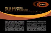 Osteopathie und die Faszien · 2018. 8. 30. · lung des Fasziengewebes. Die Frage nach der Anatomie der Faszie wurde durch-aus kontrovers diskutiert. Anhand von Präparat-Dar-stellungen
