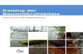Katalog der Baummikrohabitate - European Forest Instituteiplus.efi.int/uploads/Tree Microhabitat Catalogues... · 2020. 3. 10. · Die Höhlen z.B. von Dendrocopos major findet man