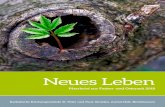 Neues Leben - kirche-straelenkirche-straelen.info/wp-content/uploads/2018/03/OsterP... · 2018. 3. 20. · neues Leben schenkt. Dieses neue Leben, das von Gott kommt, habe ich entdeckt,