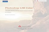 Photoshop LAB Color - PearsonPhotoshop LAB Color - *ISBN 978-3-8273-2377-4 (3-8273-2377-0)* - © der dt. Ausgabe 2006 Addison-Wesley Verlag Author Dan Margulis Subject Photoshop, …
