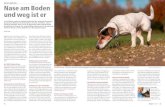 Spezial: Jagdhunde Nase am Boden und weg ist er Hunde Recht.pdf · 2019. 9. 24. · Hund» gilt. Selbst wenn also ein Kleinhund beispielsweise einen Fuchs verfolgt, gilt dies als
