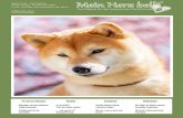 © Mein Herz bellt® Ausgabe 20 - WordPress.com · 2017. 9. 19. · Kleinhund, gerade al viel größer als er den sollten zwischer sein, Hündinnen 35- Ein Rüde sollte masl und auf
