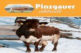 Nr. 218/219 2/2010 - Pinzgauerrind ... Nr. 218/219 2/2010 أ–sterreichische Post AG Info.Mail Entgelt