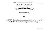 Bundeskommission Fallschirmsport AFF-Ausbildungshandbuch … · 2018. 3. 16. · Bundeskommission Fallschirmsport AFF-Ausbildungshandbuch Teil II Version 6 / Modul 6 2.5 Gedachter