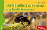 Wildbienen schützen · 2019. 4. 30. · Nützliche Brummer – Hornissen In SchleswigHolstein gibt es 316 Wespenarten, die auf Grund von Ähnlichkeiten im Körperbau zu den nächsten