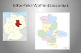 Bitterfeld-Wolfen(Sassonia)liceoburatti.edu.it/gesFiles/Filez/1465240271K211111.pdf · 2019. 1. 2. · La città • Nata nel luglio 2007 dalla fusione di Bitterfeld, Wolfen e vari
