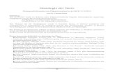 Histologie der Niere · 2013. 4. 25. · 40 . Histologie der Niere . Hintergrundinformation zum Präparationsabend in der MGW 12.10.2010 . von Dr. Thomas Kann . Einleitung: Am 12.10.2010