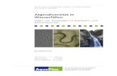 AquaPlus admin@aquaplus.ch ·  · 2021. 7. 20. · Bestimmungsliteratur Diatomeen im Süsswasser-Benthos von Mitteleuropa (Hof-mann et al. 2011) und die 4 Bände der Süsswasserflora