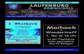 1. Maihock - Laufenburg · 2018. 8. 3. · Die „Ferienwelt Südschwarzwald“ bietet auf einer Höhe von etwa 300 bis 1.400 Metern sowohl Ruhesu - chenden als auch Aktivurlaubern