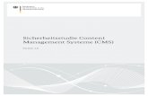 Sicherheitsstudie Content Management Systeme - BSI - Bund.de