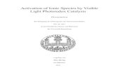 Activation of Ionic Species by Visible Light Photoredox Catalysis