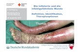 Infektwunde Mettlach 260912 Handout