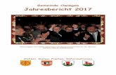 Gemeinde Owingen Jahresbericht 2017 · 2021. 2. 24. · Gemeinde Owingen . Jahresbericht 2017 . Bekanntgabe des Wahlergebnisses der Bürgermeisterwahl am 22. Oktober . auf dem Oberen