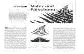 fractale - Tobias Blickle · Fraktale Wer nicht, die faszinie- renden Bilder eines verblüffend naturgetreuen Farns (Bild 1 Oder einer Berglandschaft, er- zeugt im Computer. 1m folgen-