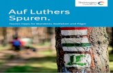 Auf Luthers Spuren. · 2018. 1. 10. · es hinauf zur Eselstation unterhalb der Wartburg (bei gutem Wetter im Sommer besetzt, t 03691–21 04 04). Kinder freuen sich über einen Ritt
