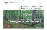 Wagnis Wildnis? - Bundesforste...Der Begriff „Wildnis“ ist in den bestehenden Schutzgebietskategorien nicht explizit ent-halten, außer in der IUCN-Kategorie Ib (Wilderness Area;