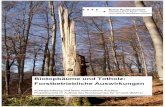 Biotopbäume und Totholz: Forstbetriebliche Auswirkungen · Projektbericht im Auftrag des Bundesamtes für Umwelt (BAFU) Auftraggeber . Bundesamt für Umwelt BAFU, Abteilung Wald,