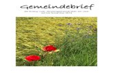 G Geemmeeiinnddeebbrriieeff · 2019. 9. 2. · Jahreszeit zu entdecken: im Singen und Jubilieren der Vögel, in den prächtigen Farben der Blumen, im satten Grün der Bäume, im Lächeln,