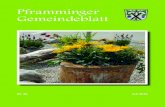 Pframminger Gemeindeblatt · PDF file 2020. 6. 22. · Gemeindeblatt. 2 Juli 16 ... - Helferkreis Asyl e.V. 47-51 • Sportangebote - Wanderprogramm 52-53 • Aus der Pfarrgemeinde