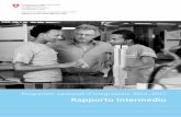 Programmi cantonali d’integrazione 2014–2017. Rapporto ...