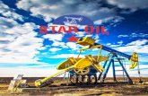 Inhaltsverzeichnis - Star Oil Production