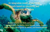 An integrative model of sea turtle growth based on ...