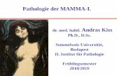 Pathologie der MAMMA-I. dr. med. habil. Andras Kiss Ph.D ...