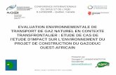 EVALUATION ENVIRONNEMENTALE DE TRANSPORT DE GAZ NATUREL …