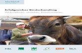 Erfolgreiches Rinderhandling - FiBL