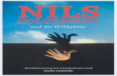NILS - kaleidoskop-hessen.de