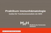 Praktikum Immunhämatologie - MHH
