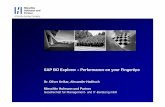 SAP BO Explorer – Performance on your Fingertips