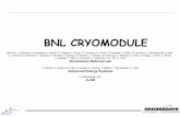 BNL CRYOMODULE - jlab.org
