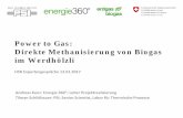 Power to Gas: Direkte Methanisierung von Biogas im Werdhölzli