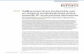 YqfB protein from Escherichia coli: an atypical ...