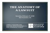 ANATOMY OF A LAWSUIT 02-17-2018