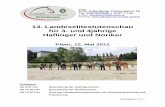 14. Landeselitestutenschau für 3- und 4jährige Haflinger ...